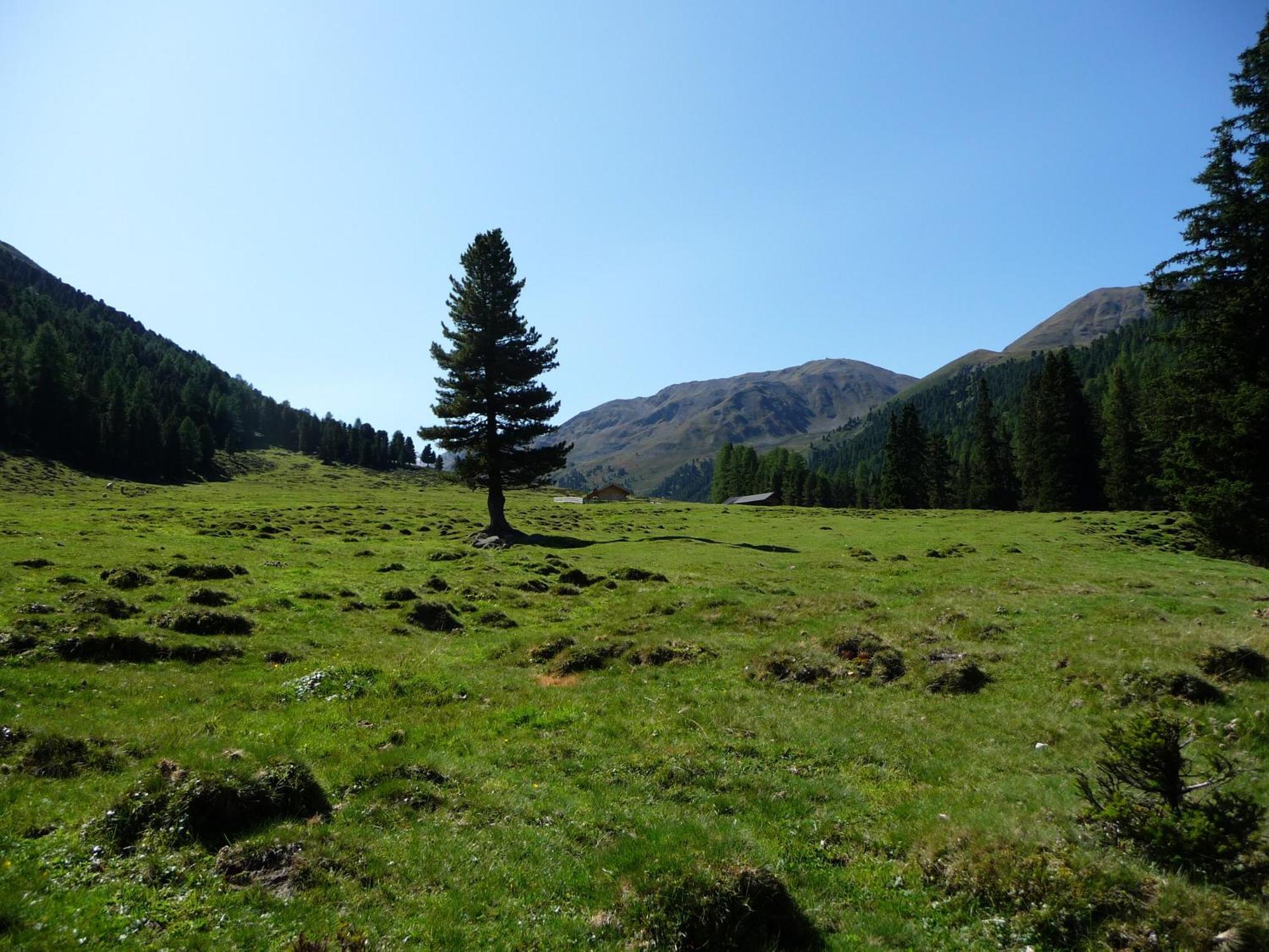 Apart Piz Mondin Pfunds Esterno foto